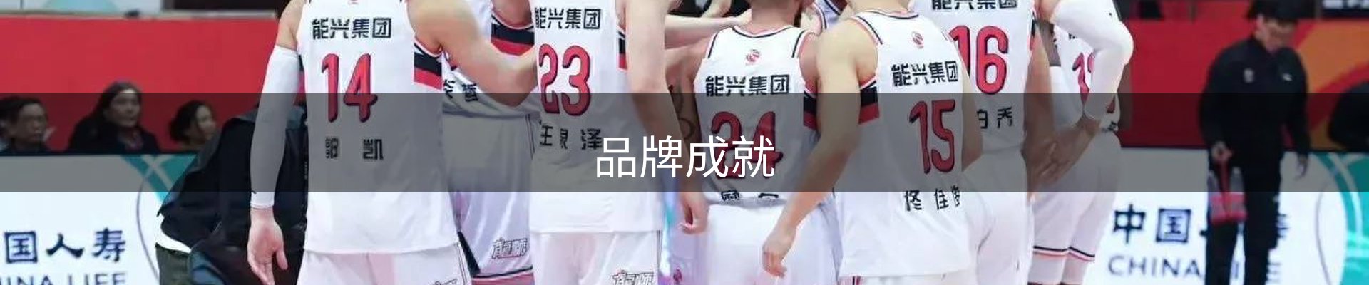 品牌成就